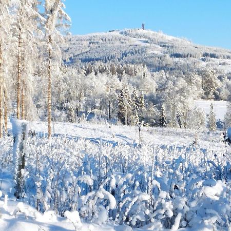 Harzpension Haus Koenigskopf Braunlage Eksteriør billede