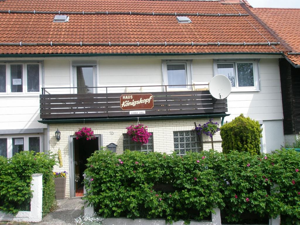Harzpension Haus Koenigskopf Braunlage Eksteriør billede