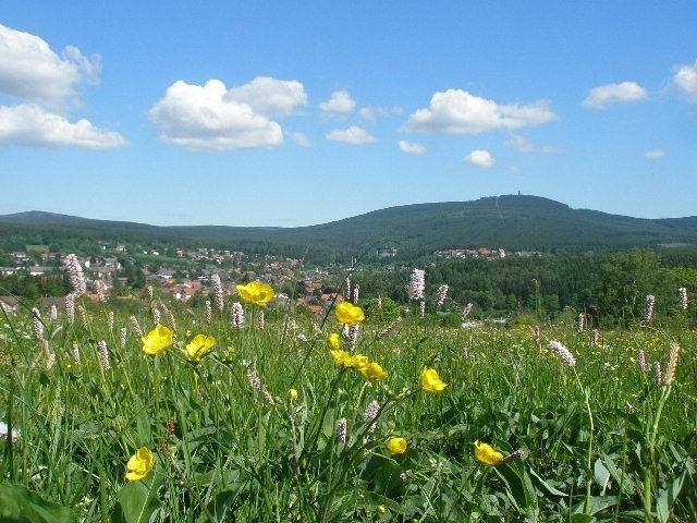 Harzpension Haus Koenigskopf Braunlage Eksteriør billede